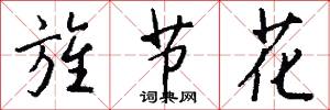 旌节花怎么写好看