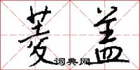 菱盖怎么写好看