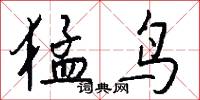 猛鸟怎么写好看