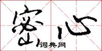 密心怎么写好看