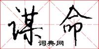 谋命怎么写好看