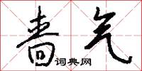 啬气怎么写好看