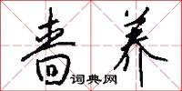 啬养怎么写好看