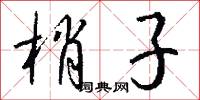 梢子怎么写好看