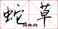 蛇草怎么写好看