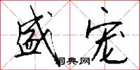 盛宠怎么写好看