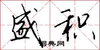 盛积怎么写好看