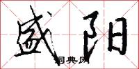 盛阳怎么写好看
