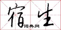 宿生怎么写好看