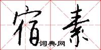 宿素怎么写好看