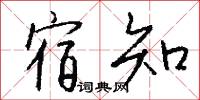 宿知怎么写好看