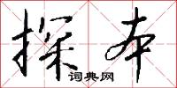 探本怎么写好看