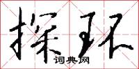 探环怎么写好看