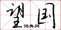 望国怎么写好看