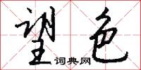 望色怎么写好看