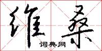 维桑怎么写好看