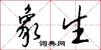 象生怎么写好看