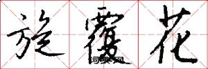旋覆花怎么写好看