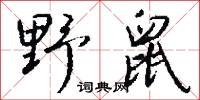 野鼠怎么写好看