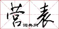 营表怎么写好看