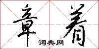 章着怎么写好看
