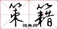策籍怎么写好看