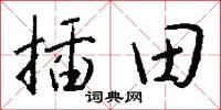 插田怎么写好看