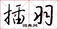 插羽怎么写好看