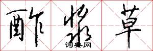 酢浆草怎么写好看