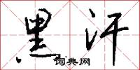 黑汗怎么写好看