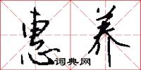 惠养怎么写好看