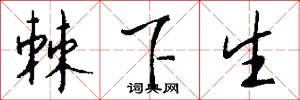 棘下生怎么写好看