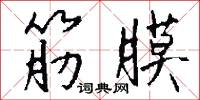 筋膜怎么写好看