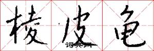棱皮龟怎么写好看