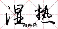 湿热怎么写好看