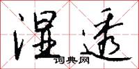湿透怎么写好看