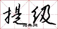 提级怎么写好看