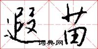 遐苗怎么写好看