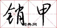 销甲怎么写好看