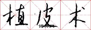 植皮术怎么写好看