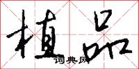 植品怎么写好看