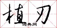 植刃怎么写好看
