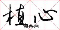 植心怎么写好看