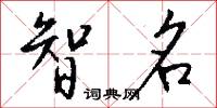 智名怎么写好看