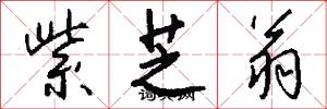 紫芝翁怎么写好看