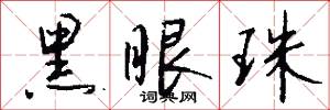 黑眼珠怎么写好看