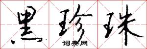 黑珍珠怎么写好看