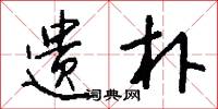 遗朴怎么写好看