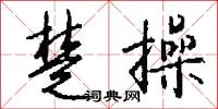 楚操怎么写好看