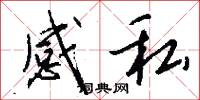 感私怎么写好看